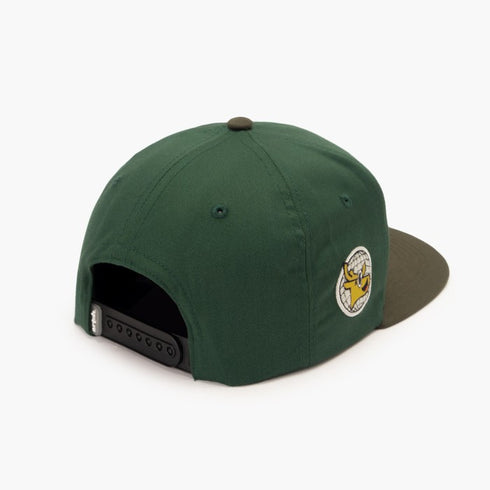CAPS AND HATS - CLASSIC SNAPBACK GREEN