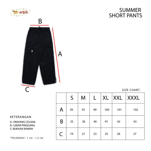 CARGO PANTS - JITU GREY