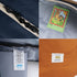 BACK TO SCHOOL - NAVY ORANGE
